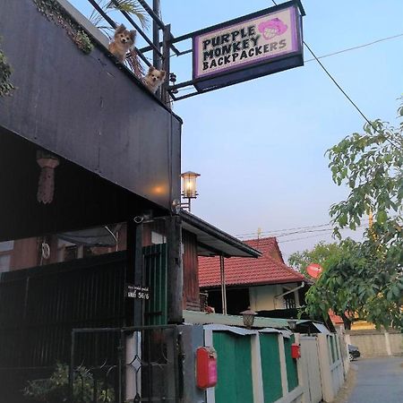 Purple Monkey Backpackers Chiang Mai Hostel Exterior photo