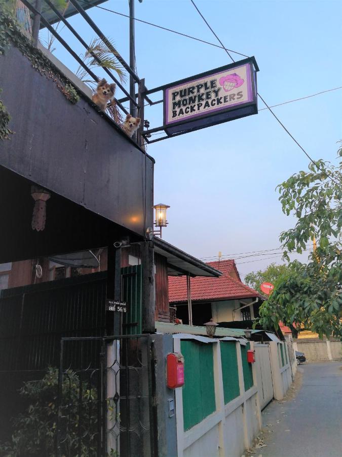 Purple Monkey Backpackers Chiang Mai Hostel Exterior photo